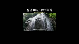 静坐倾听万物的声音 #修心 #修行 #修心养性禅悟人生 #修心修性