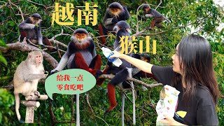 越南小黎带你去岘港最值得来玩的地方，居然那么好玩的地方又没有收费，你还等什么？