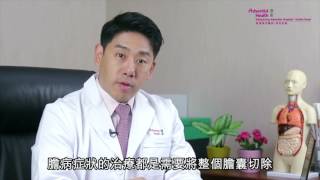【外科服務】常見膽病 ｜ 膽石、膽瘜肉及癌症｜達文西機械臂｜微創手術｜香港港安醫院外科顧問醫生（楊丕祥醫生）