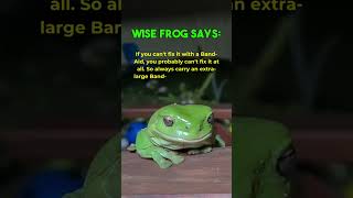 Wise Frog Says   🔮🐸  #wisefrog #goodadvice