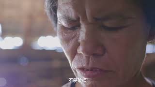 一岁一端午，如意接“粽”而至！ #端午节  #包粽子 #端午安康 #传统习俗 #粽子