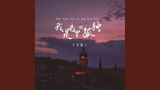 我是夜里的孤独 (DJ九锐版)
