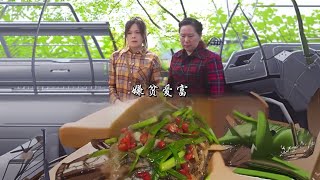 十年河东，十年河西风。水轮流转，人穷穷一时，千万不要瞧不起任何人！ #我的乡村生活  #婆媳  #快手三农红人计划 