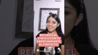 Fortalece el vínculo con tu perro 🐶❤️ en minutos al día, ¡sin complicaciones! #VínculoCanino