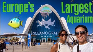 Oceanografic Valencia Aquarium Tour