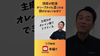 【なぜ？】頭皮が乾燥、オリーブオイル塗ったら頭がかゆい！！ #頭がかゆい #オリーブオイル #頭皮乾燥