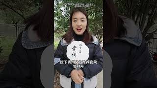 2025年贵州文旅推荐官招募中，快来报名了贵州文旅推荐官 各地文旅持续发力 贵州文旅 贵州旅游景点推荐 贵阳游玩景点推荐