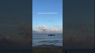 Paka Song Lyrics|Manasake entho patti song lyrics|#trendingshorts #lyrics