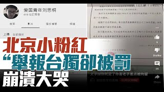北京小粉紅舉報「台獨」卻被罰崩潰大哭