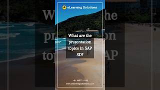 What are the presentation topics in SAP SD | SAP SD | eLearning solutions