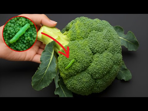 Washing Broccoli with Water Only is WRONG. One More Step to Clean And Safe!