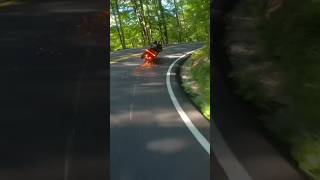 Harley Riders Crash?