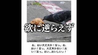 【補講確定】殿堂入りボケてがマジでツッコミどころ満載だったwww【1736弾】