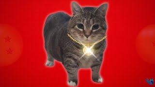 OIIAOIIA - Spinning Cat (TECHNO REMIX) Cat Brainrot Video - DRAGON BALL