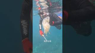 [阿薩布魯］垃圾荼毒海洋，捕獵之餘不忘撿垃圾🚮#自由潛水 #海洋垃圾 #隨手撿垃圾 #捕獵 #打魚