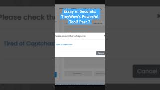 Essay in Seconds: TinyWow's Powerful Tool! Part 3