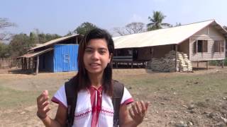 Social Cohesion in Myanmar