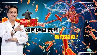 ｜直播｜毒素如何造成身體慢性發炎？｜腸胃霖負擔｜