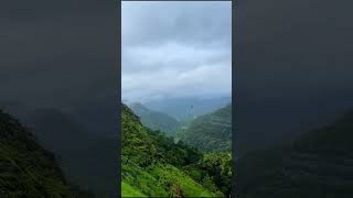 nature view vlog