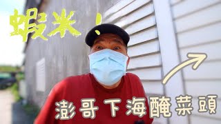 《澎派 PONPIE》澎哥不藏私 公開蘿蔔製作過程！ feat.梅香翠玉蘿蔔