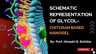Schematic Representation of Glycol - Chitosan based Nanogel || Nanotechnology