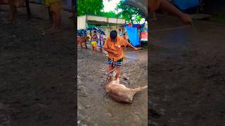 Child Caw #shorts #animals #caw #funnyshorts #entertainment #market #tranding #reels