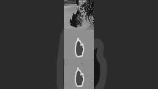 Image Semantic Segmentation using Attention U-Net with a Gradient Error Minimizing Loss function 2