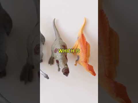 Megalodon Size Comparison Explained!