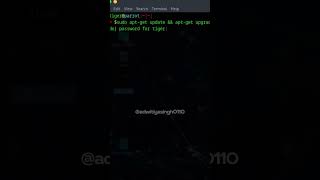 Update Your Linux using Terminal Prompts | Parrot Security OS | How to Update Linux without errors??