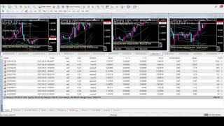 forex robot live trading & signals Sep.3.2021