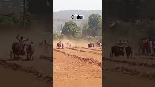 Bailgada sharyat At Chiplun #chiplun #baile #bailgadasharyat #kokan
