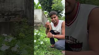Sham bhi koi #youtubeshorts #music #love #twins #naturemood #youtubeindia #vibes #latest #podcast
