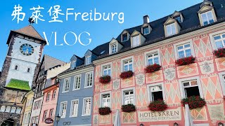 【最愛的德國城市】🇩🇪黑森林｜弗萊堡Freiburg｜中古世紀小鎮｜黑森林蛋糕｜Schwarzwälder Kirschtorte｜Schauinsland｜Staufen #黑森林 #歐洲自由行