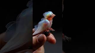 #creaturepedia #crystal #crystalbird #opal #bird #fantasycreature #creature #aicreature #shorts #ai