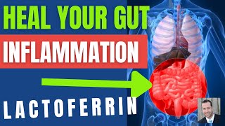 Lactoferrin Can ⚡️Supercharge ⚡️Your Gut Health. 6 Ways This Can Transform Your Gut Health