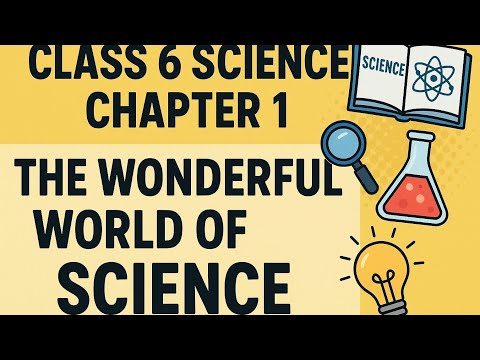 The Wonderful World of Science || Hinglish part 1 #ncert #class6th