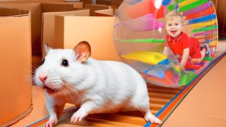 Kids Trapped in Hamster Maze