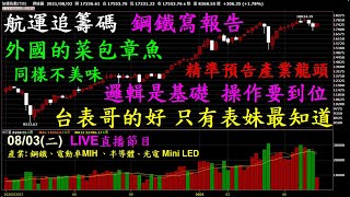【20210803 股市行情分析】#錢進大趨勢｜中鋼、大成鋼、大國鋼、允強、燁輝、景碩、台驊投控、長榮、萬海、陽明、元太、億光、台表科、惠特、聚積、富采、碩禾、日月光、京元電、華泰、南茂