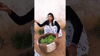 #funny #india #entertainment #shorts #viral #trending #comedycontent #comedy #itsmevenky