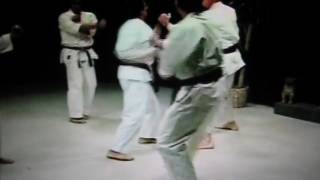 Isshin-ryū Seisan Bunkai