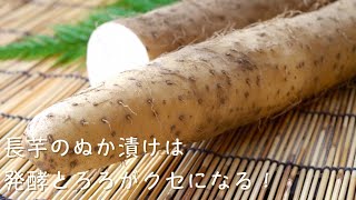 vol.26長芋のぬか漬けは発酵とろろがクセになる！