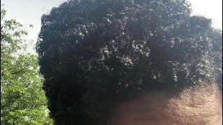 BGCs Wash n Go (Part 1) plus Shaping (cutting) my hair
