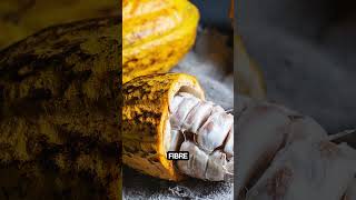 Cocoa Fruit and benefits! #childrenseducation