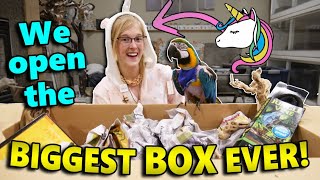 Unicorn Onesie in our Mail! (Fan Mail Part 10)