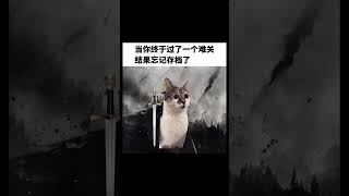 存檔【梗圖 迷因 】 memes