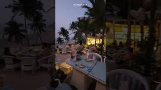 Olive Bar & Cafe, Goa #northgoa #vagator #goa #goavlog