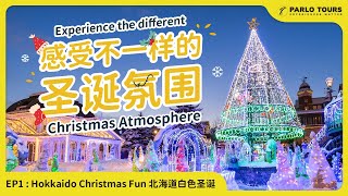 日本北海道圣诞节旅游攻略 小樽 札幌 白色恋人... Christmas travel tips in Hokkaido, Japan!