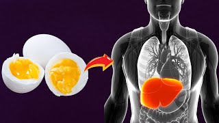 The Incredible Impact of Eating Eggs Daily !