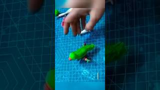 #shorts #beautiful parrot cake topper#cake topper
