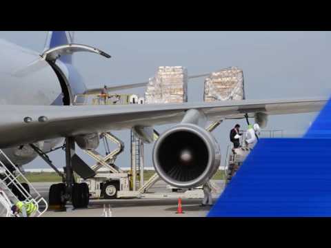 Magic Logistics Air Transportation Service